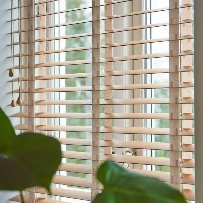 56466327_2651071018242122_4723662644832108544_o